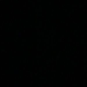 Meet your Posher, Molly